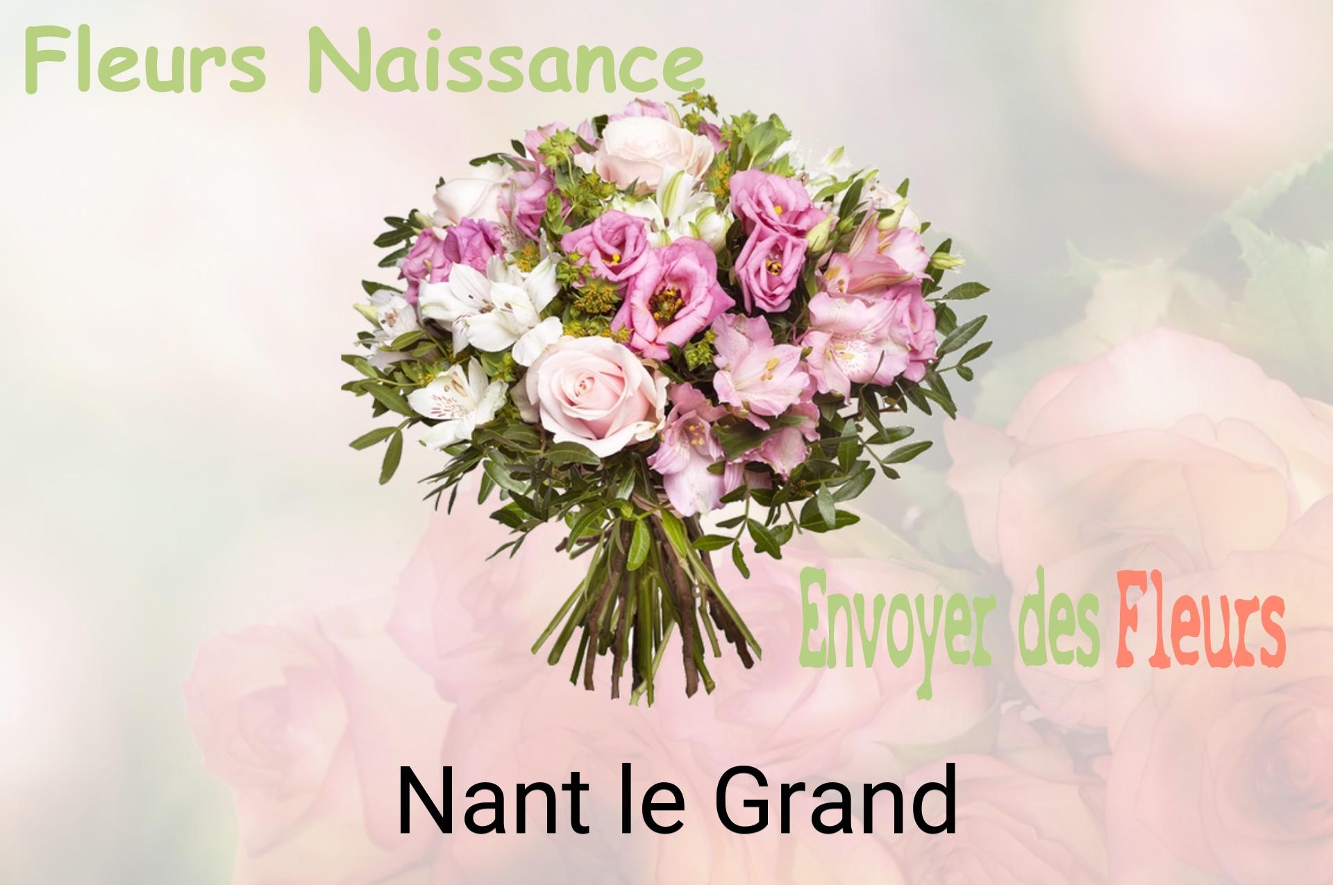 Bouquet de fleurs de naissance livré à Nant-le-Grand