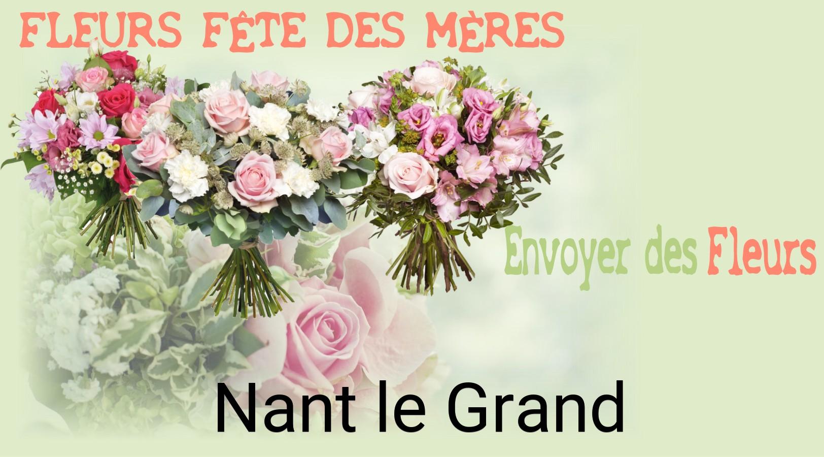 Bouquet de Fête des Mères livré à Nant-le-Grand
